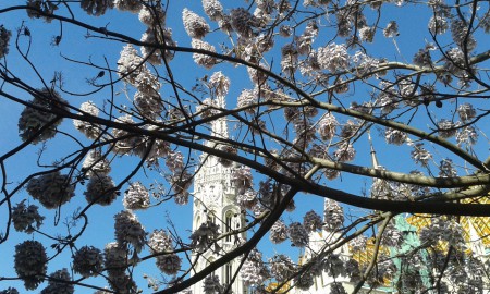 Printemps a Budapest